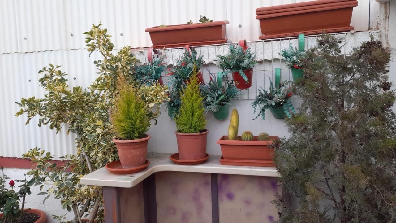 Apartmán La Terraza Vinarós Exteriér fotografie
