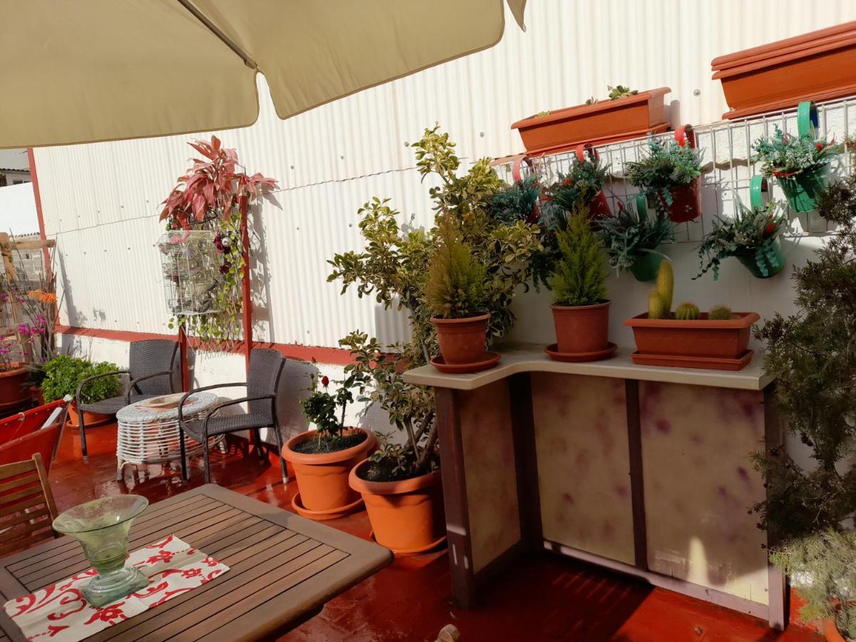 Apartmán La Terraza Vinarós Exteriér fotografie